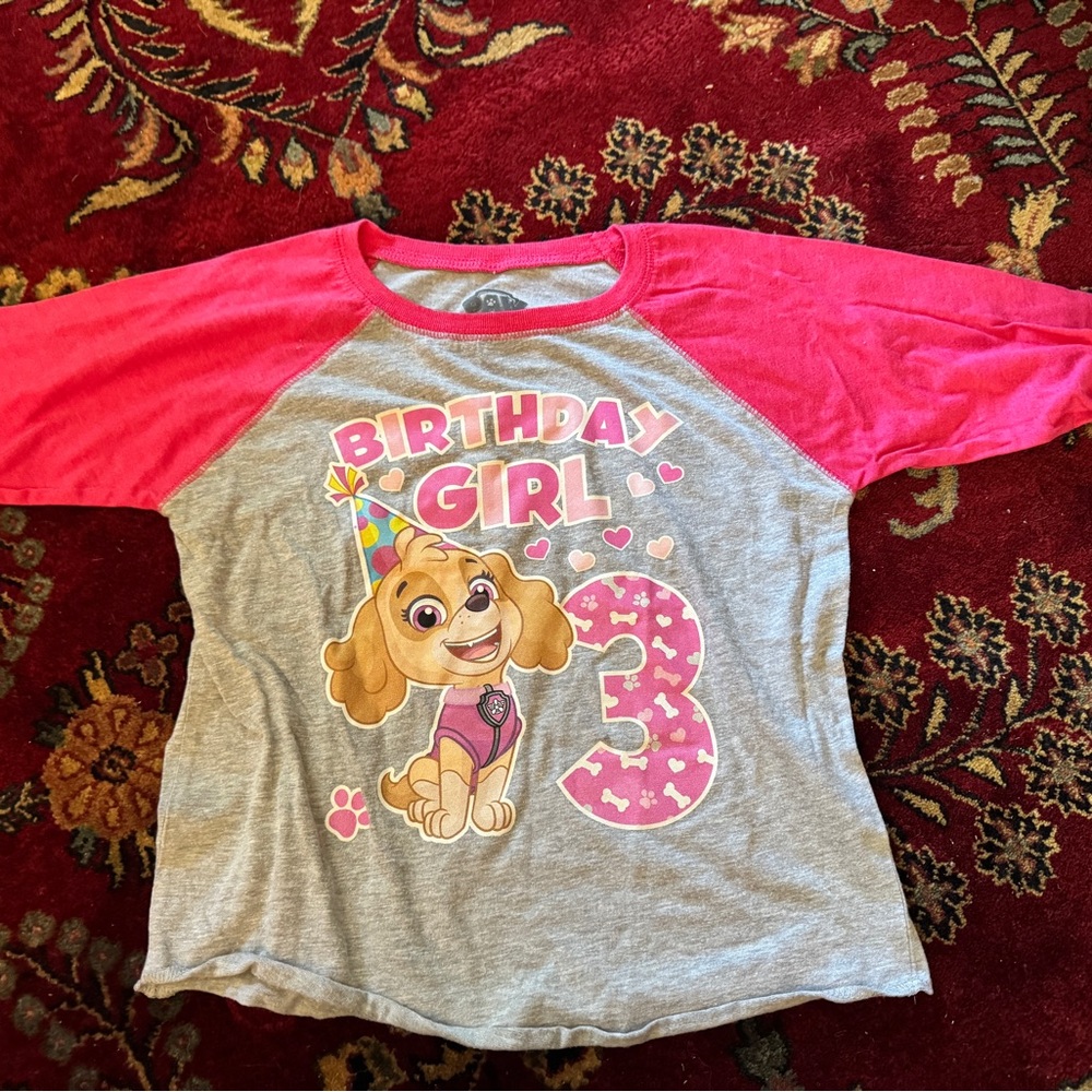 Nickelodeon Pink and Gray 3rd Birthday Girl Long Sleeve Tee